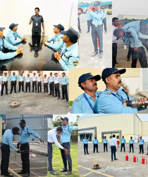 Training Training